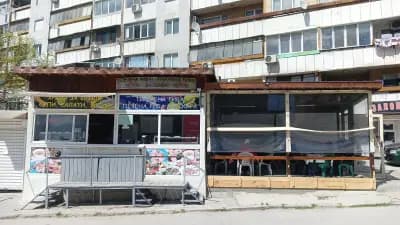 Малката рибка