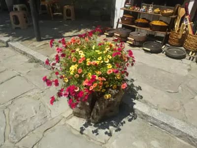 Механа Зограф