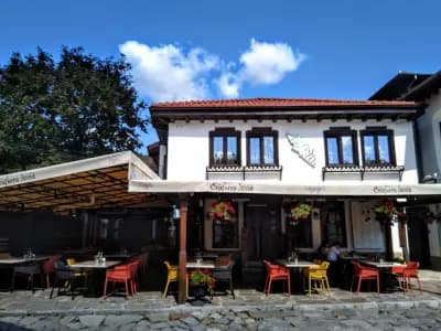 Старата лоза - Трявна
