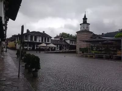 Старата лоза - Трявна