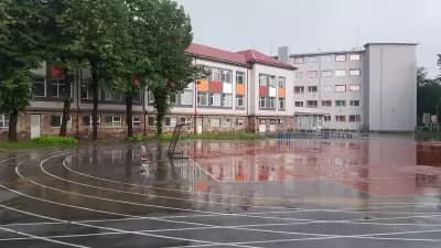 Васил Левски