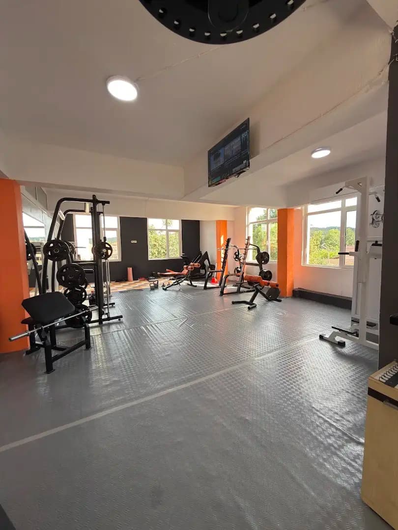 Alpha Fit Dzhebel