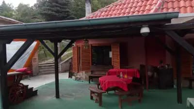 Вили Оазис