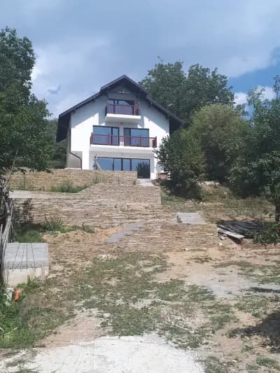 Вили Оазис