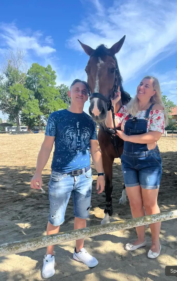 D&V Sport Horses