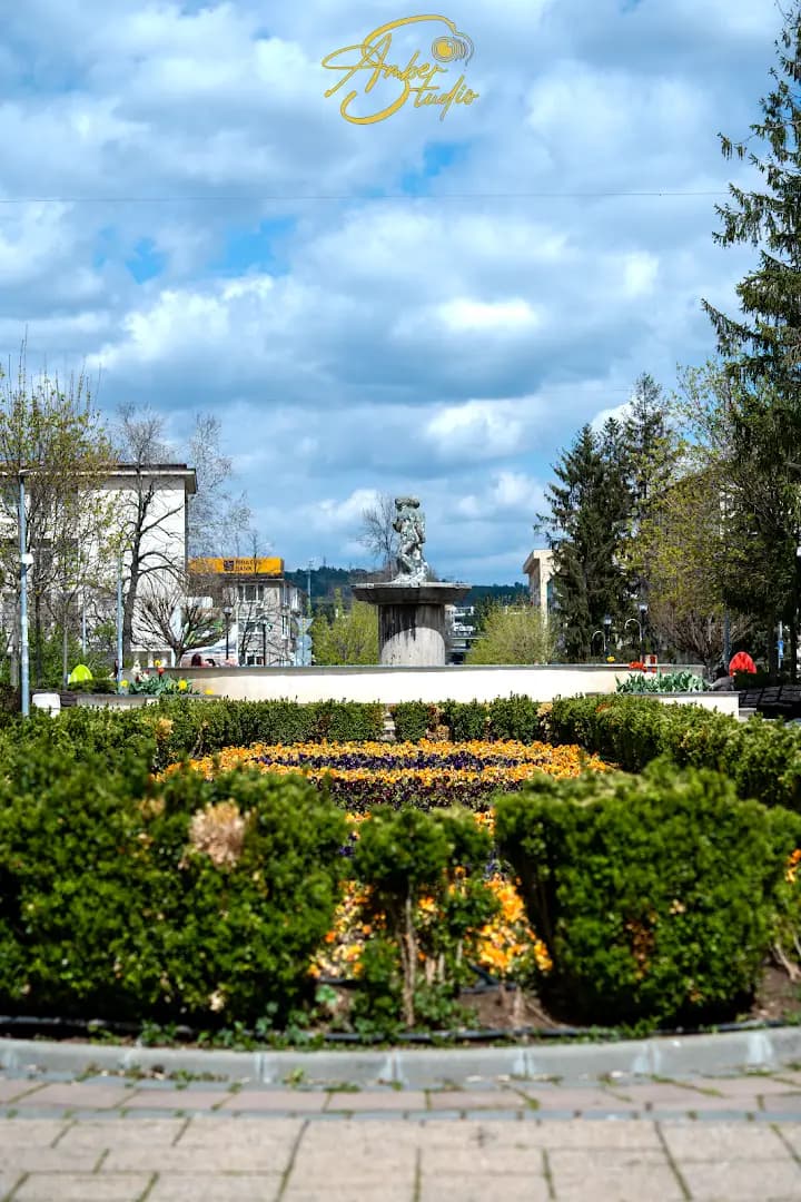 Amber Studio