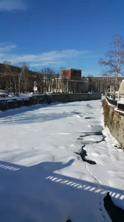 Марио Фреш