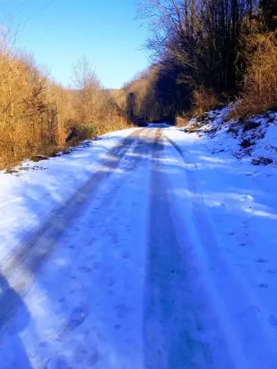 "Пъстървата"