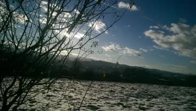 Пройновската къща