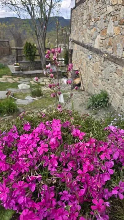 Панорама хаус Лещен и еко къщи Дървена и Землянка