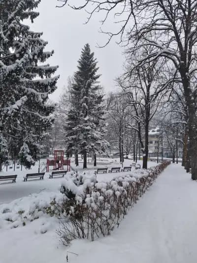 Супермаркет Алекс