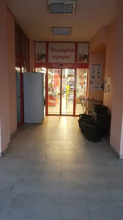 ЦБА Градски Хали
