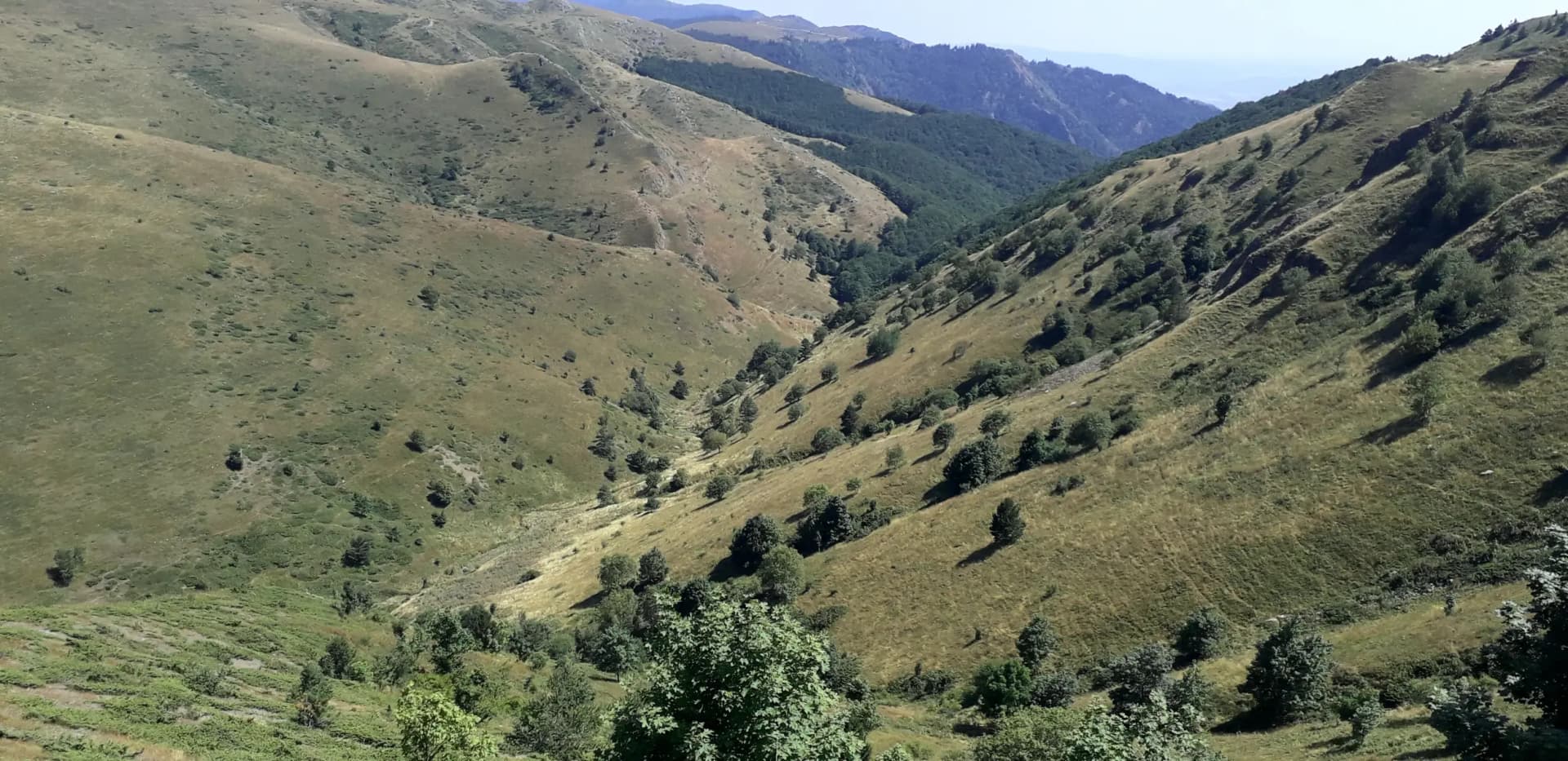 Сечената скала