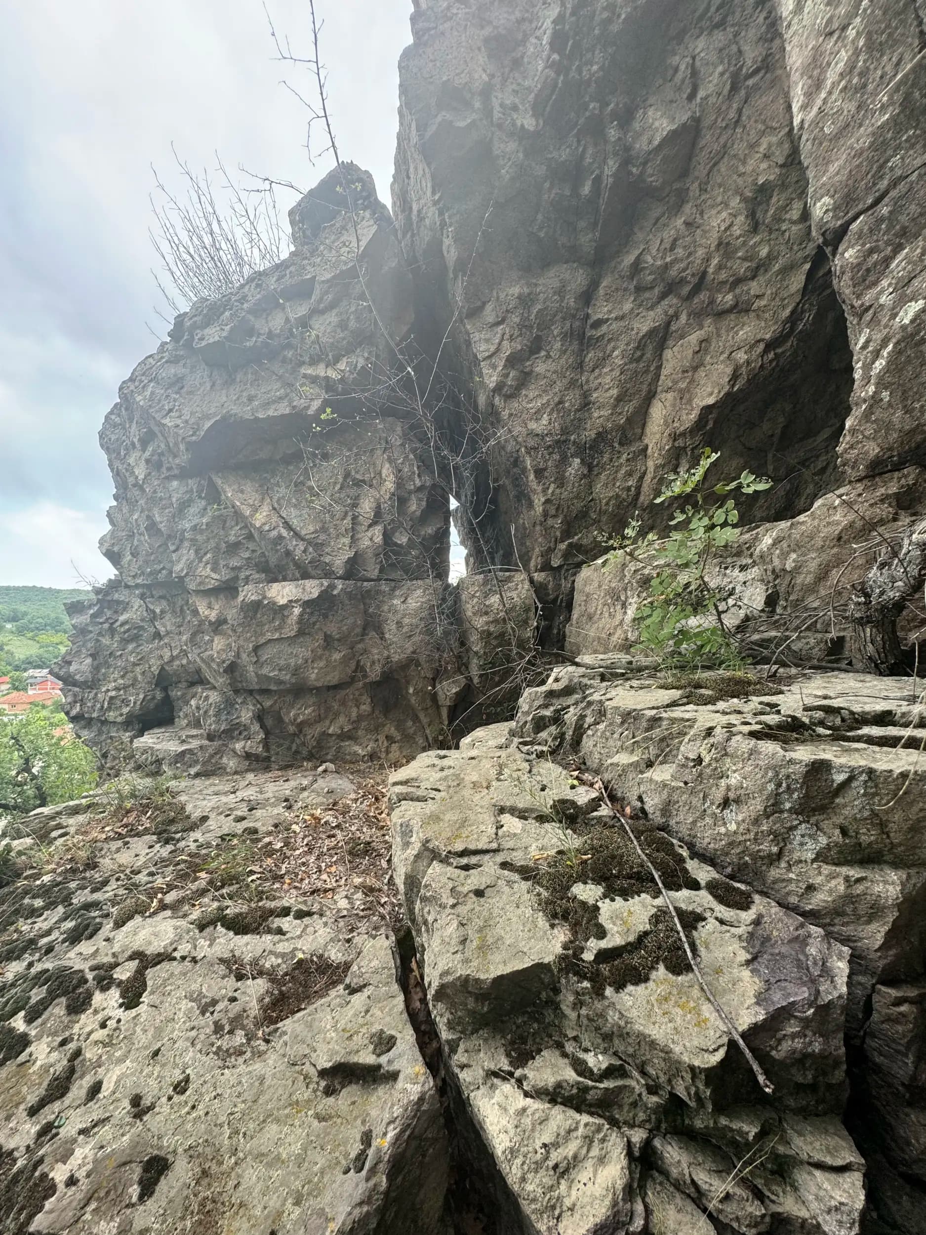 Очната скала
