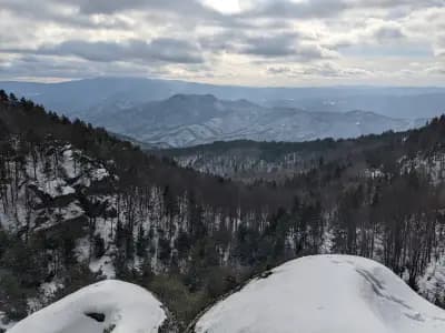 Марина църква