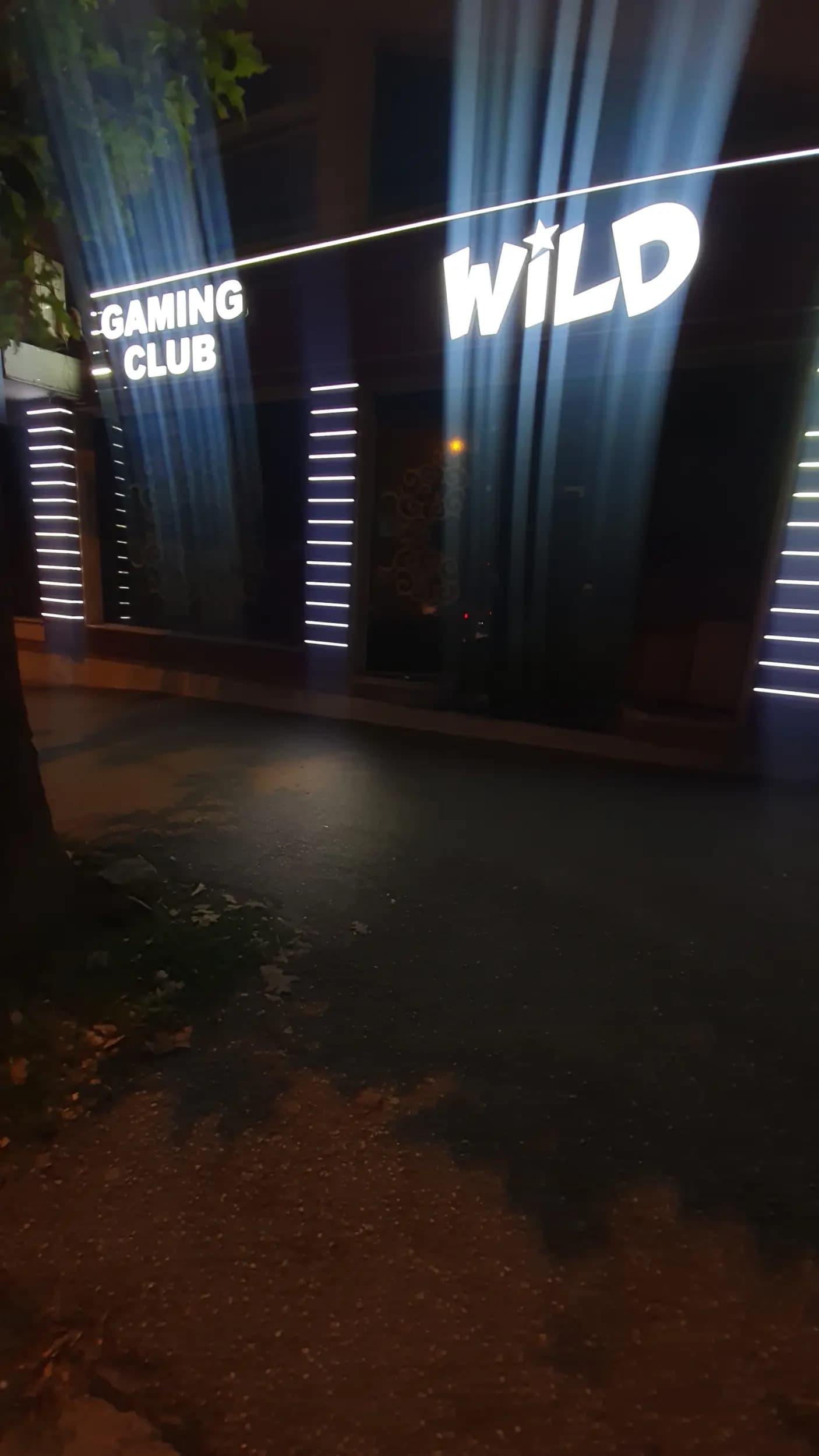 Wild Gaming Club