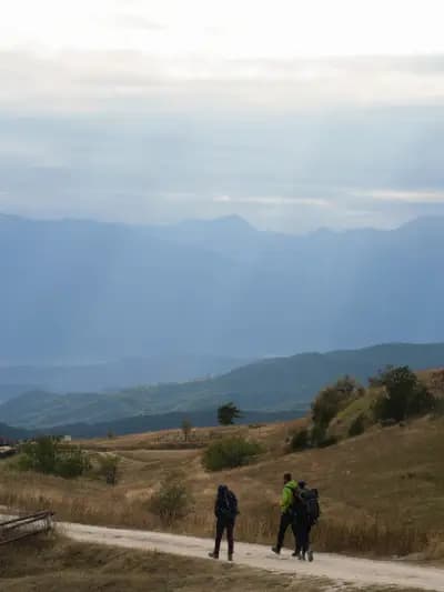 5 Elements Tours