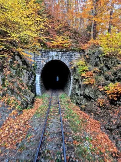 5 Elements Tours