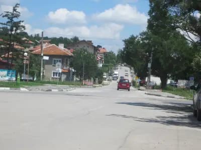 ЦВЕТИНА МЕЗДРА ЕООД