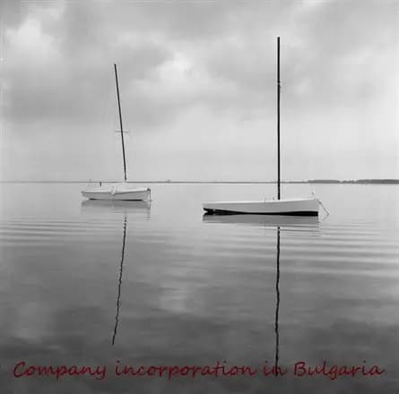 V Consulting Bulgaria - Company incorporation