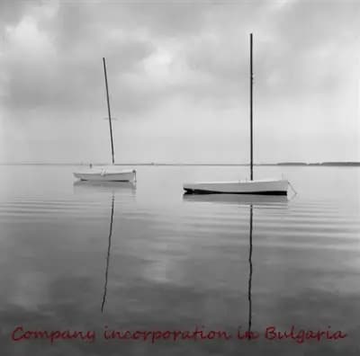 V Consulting Bulgaria - Company incorporation