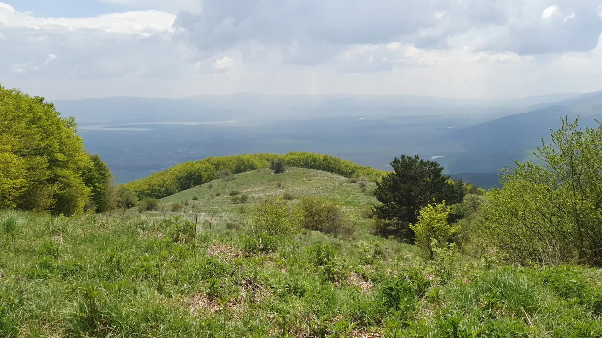 подковата "Търсовец"