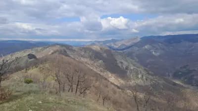 Гърбова скала