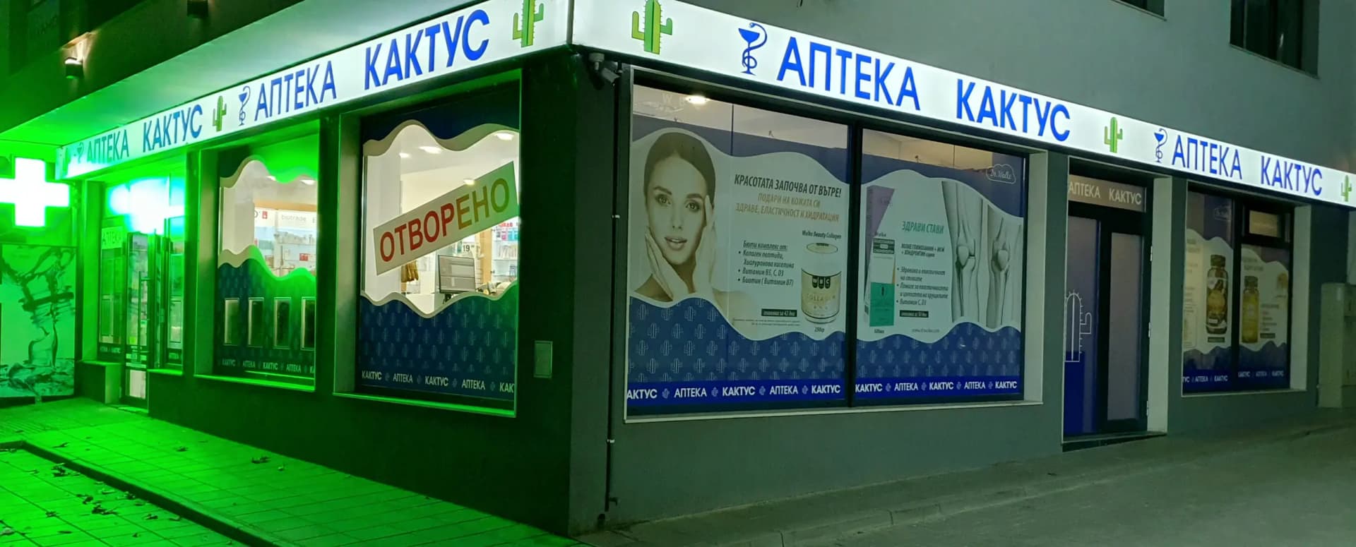 КАКТУС АПТЕКА