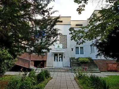 ДГ 59 "Елхица"