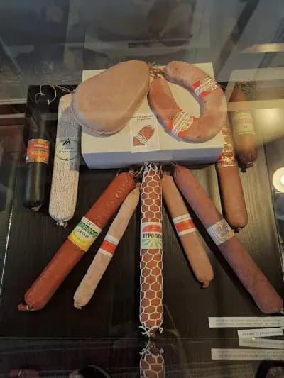 Исторически музей Етрополе