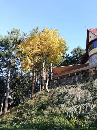 Ресторант Вестителят