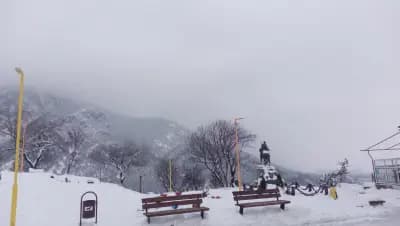 Ресторант Вестителят