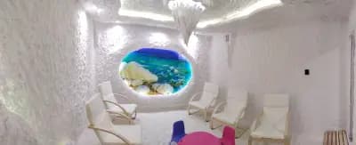 Солна стая ЗАРА