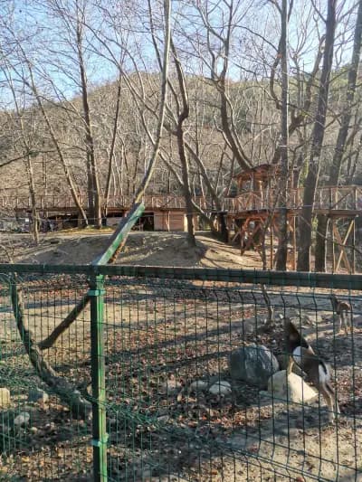 Общински бутиков ЗООКЪТ "Св. Димитър"