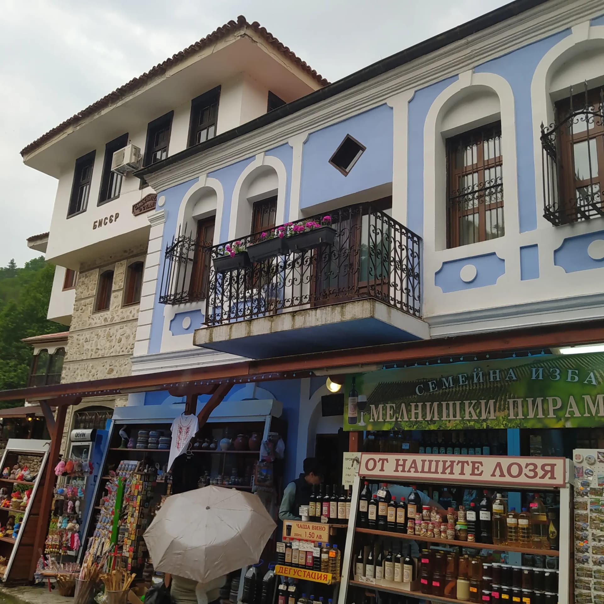 Синята Къща Blue House
