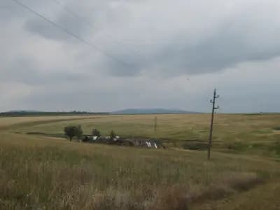 Петрол Борован