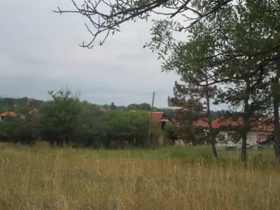Петрол Борован