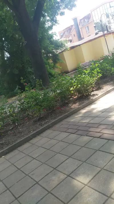 Парк пред СПА хотел