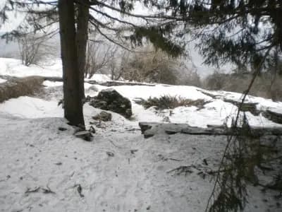 Руско гробище