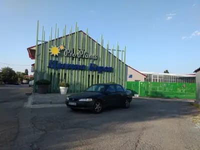 Цветна борса Про Плантс