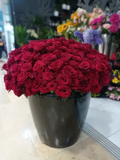 Обича ме,не ме обича