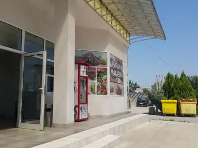 Метика