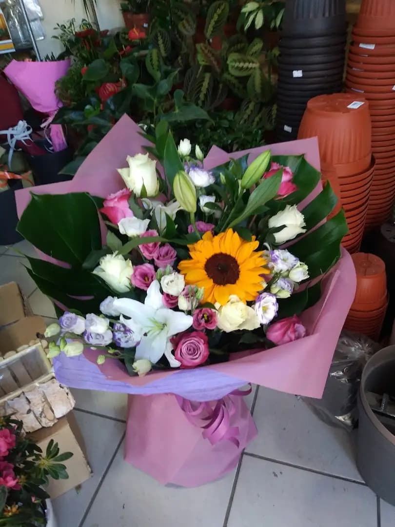 Магазин за цветя Tulipa