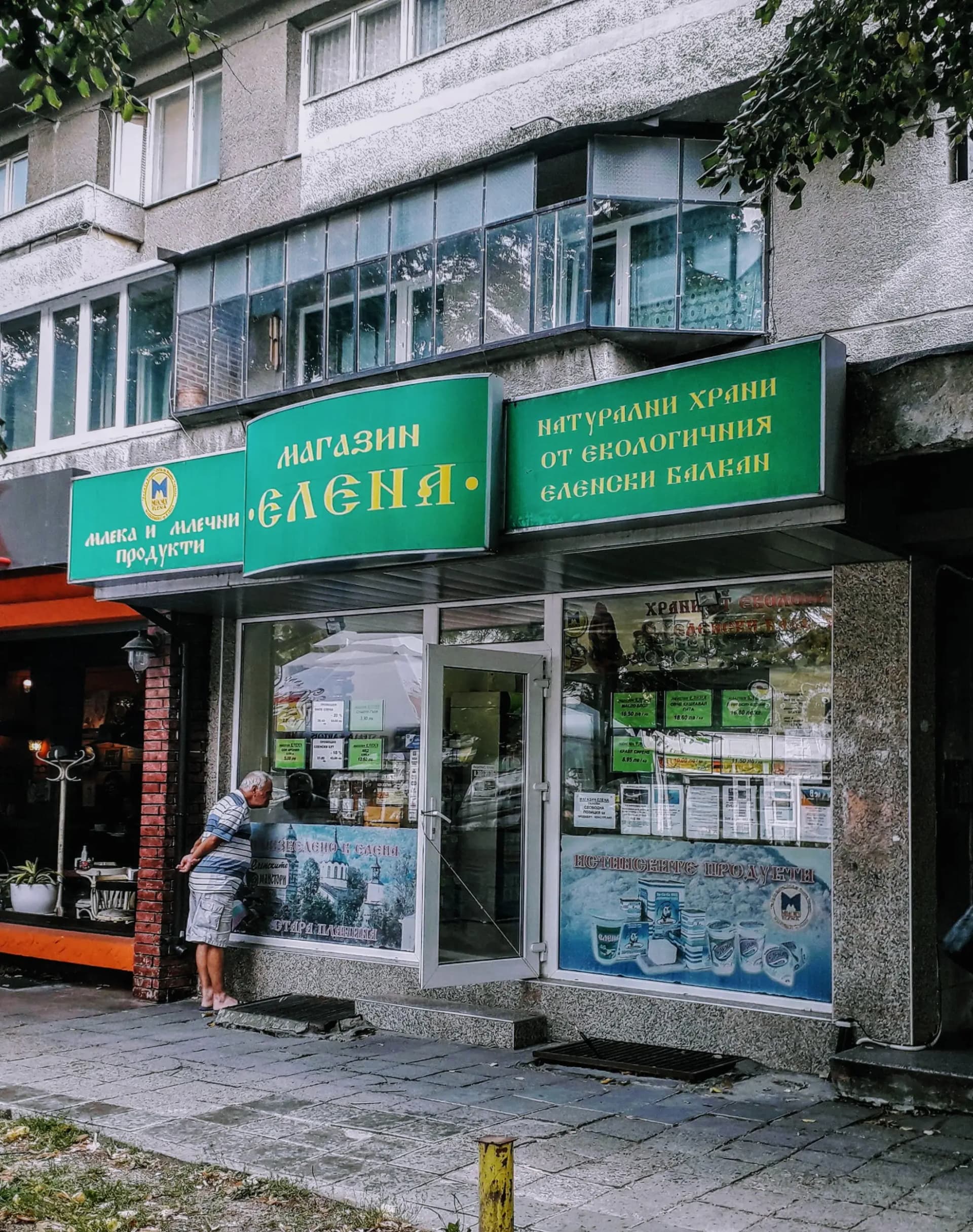 Елена