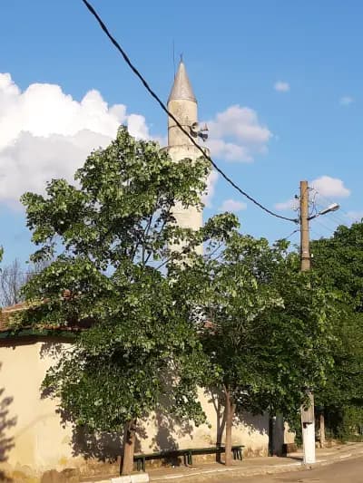 Джамия Страцин