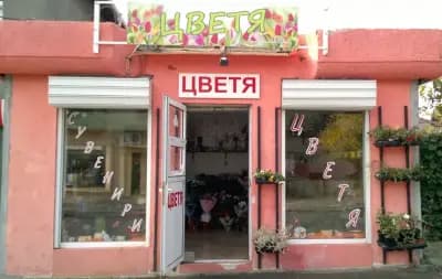 Магазин за цветя "Сандериана"