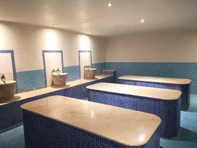 Cleo Exotic Studio