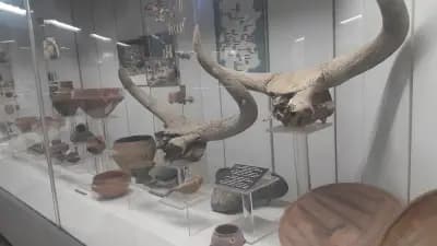 Регионален исторически музей- Враца