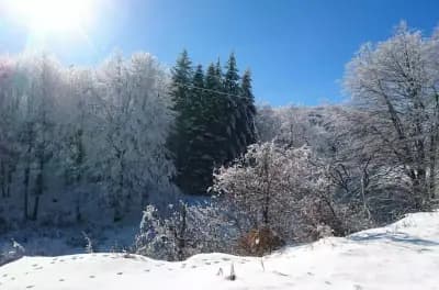 Семеен хотел Момина сълза