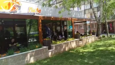 Златното пиле